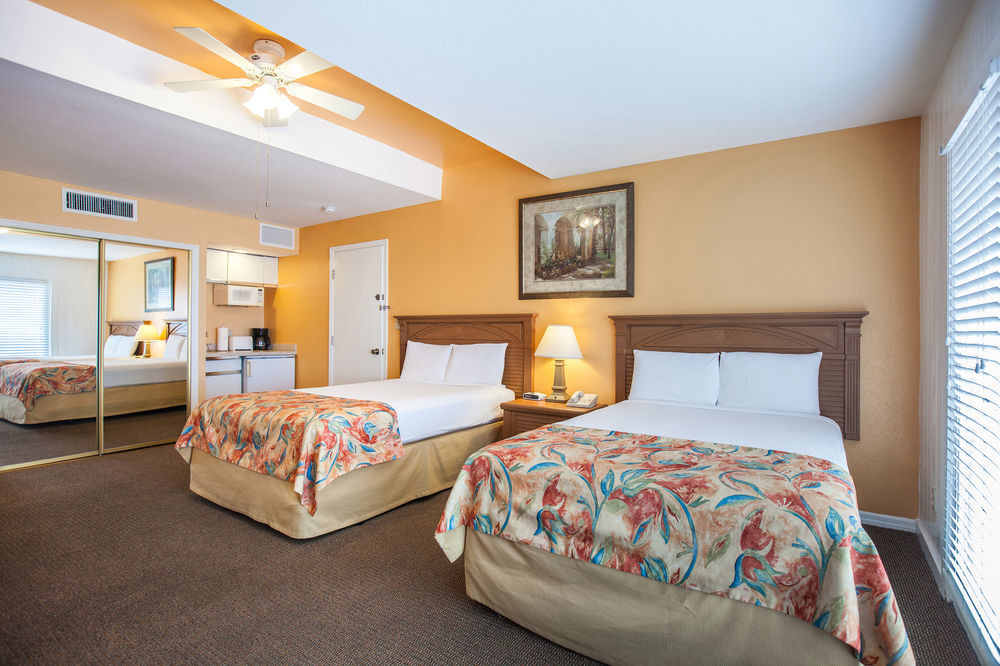 The Fold Indian Shores